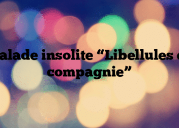 Balade insolite “Libellules et compagnie”