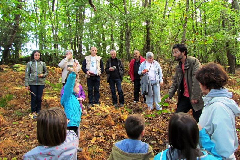 Visite guidée la nature fête l'automne